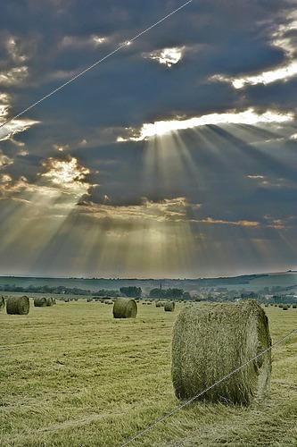 Biosphoto | 2582231 | Rayons de soleil perçant un ciel d'orage, au dessus d'une prairie au foin pressé en balles rondes, France | &copy; Claudius Thiriet / Biosphoto