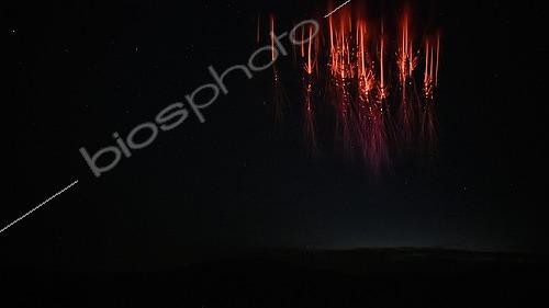 Biosphoto | 2590955 | Red sprites above a thunderstorm near Lyon, photographed from Utelle, Alpes-Maritimes, France | &copy; Christophe Suarez / Biosphoto