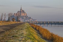 Biosphoto | 2036951 | Reedbed Couesnon - Mont Saint-Michel France | &copy; Vincent M. / Biosphoto