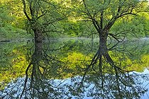 Biosphoto | 2036306 | Reflecting on Lake Bret at dawn - Bugey France | &copy; Jean-Philippe Delobelle / Biosphoto