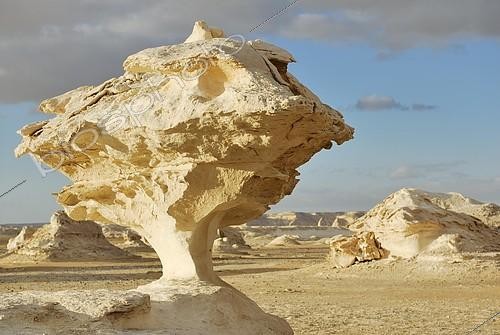 Biosphoto | 2093801 | Roche calcaire en forme de champignon, Désert blanc, Oasis Farafra, Désert Libyen aussi connu sous nom de désert de l'Ouest, Sahara, Egypte | &copy; Stefan Espenhahn / imageBROKER / Biosphoto