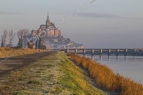 Biosphoto | 2036951 | Roselière du Couesnon - Mont Saint-Michel France ; Auto régénération de la roselière après travaux de. rétablissement du caractère maritime du Mont Saint-Michel | &copy; Vincent M. / Biosphoto