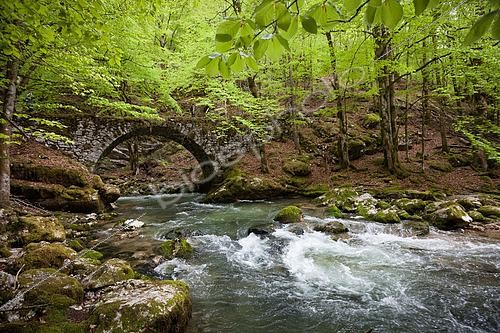 Biosphoto | 2479335 | Rouffy and Valserine Bridge at spring, Lélex, Ain, France | &copy; Jean-Baptiste Strobel / Biosphoto