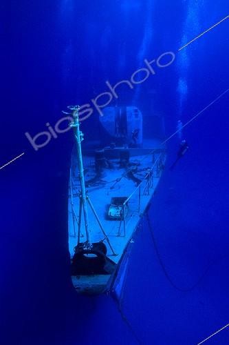 Biosphoto | 643606 | Russian wreck of the 356 flowed for divers Cayman Islands | &copy; Didier Brandelet / Biosphoto