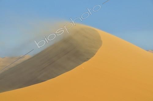 Biosphoto | 1610452 | Sand storm, Erg Chebbi, Morocco, Africa | &copy; Walter G. Allgoewer / imageBROKER / Biosphoto