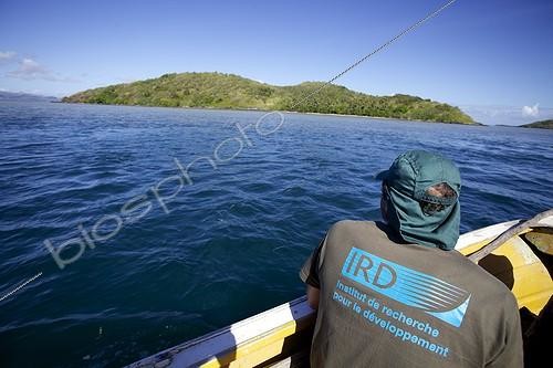 Biosphoto | 1875312 | Scientists are approaching an island New Caledonia ; The island Small Balabio, Balabio a nearby island, north of New Caledonia, is suspected to host a population of rabbits introduced, according to the testimony of the local tribe, fishing in the area. An IRD team, accompanied by JL Chapuis MNHN, went there to study the issue | &copy; Thibaut Vergoz / Biosphoto