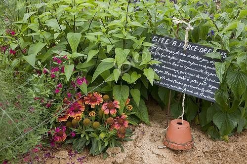 Biosphoto | 1646382 | Shelter for earwigs in a garden | &copy; NouN / Biosphoto