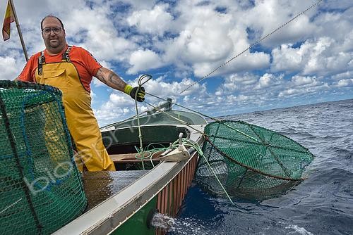 Biosphoto | 2609482 | Shrimp fishing (Plesionika narval) is a traditional activity carried out from small boats. Traps (pots) are used, which are placed on the seabed at depths of 50 to 150 meters. It is practiced year-round, although catches are more abundant in summer. Production is mainly destined for local consumption. VESSEL: Drago. FISHERMAN: José Lucio León Díaz (model release). San Roque and Isla Baja Fishermen’s Guild of Garachico, Tenerife. Canary Islands. | &copy; Sergio Hanquet / Biosphoto