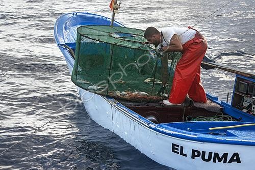 Biosphoto | 2609498 | Shrimp fishing (Plesionika narval) is an artisanal activity carried out from small boats. Pots (traps) are used, which are placed on the seabed at depths between 50 and 150 meters, and which also catch some fish. It is practiced year-round, although catches are more abundant in summer. Production is mainly destined for local consumption. VESSEL: El Puma. FISHERMAN: Ayoze Rodríguez (model release). Fishermen’s Guild of San Marcos in Icod de los Vinos, Tenerife. Canary Islands. | &copy; Sergio Hanquet / Biosphoto
