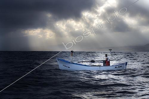 Biosphoto | 2609500 | Shrimp fishing (Plesionika narval) is an artisanal activity carried out from small boats. Pots (traps) are used, which are placed on the seabed at depths between 50 and 150 meters, and which also catch some fish. It is practiced year-round, although catches are more abundant in summer. Production is mainly destined for local consumption. VESSEL: El Puma. FISHERMAN: Ayoze Rodríguez (model release). Fishermen’s Guild of San Marcos in Icod de los Vinos, Tenerife. Canary Islands. | &copy; Sergio Hanquet / Biosphoto
