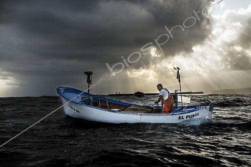 Biosphoto | 2609501 | Shrimp fishing (Plesionika narval) is an artisanal activity carried out from small boats. Pots (traps) are used, which are placed on the seabed at depths between 50 and 150 meters, and which also catch some fish. It is practiced year-round, although catches are more abundant in summer. Production is mainly destined for local consumption. VESSEL: El Puma. FISHERMAN: Ayoze Rodríguez (model release). Fishermen’s Guild of San Marcos in Icod de los Vinos, Tenerife. Canary Islands. | &copy; Sergio Hanquet / Biosphoto