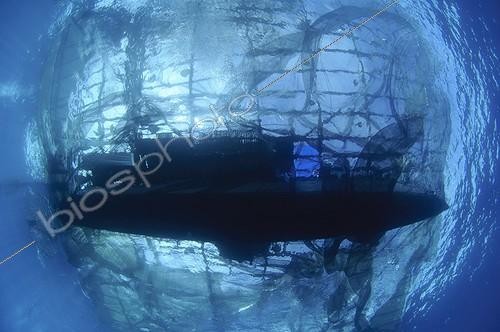 Biosphoto | 1921940 | Silhouette of Bagan fishing boat as seen from below - Papua | &copy; Mike Veitch / Biosphoto