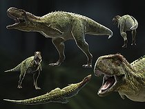 Biosphoto | 2478512 | Skorpiovenator bustingorryi is a genus of abelisaurid theropod dinosaur from the late Cretaceous period of Argentina (95 million years ago). It reached 9 meters (29.5 feet). | &copy; Rodolfo Nogueira / Stocktrek Images / Biosphoto
