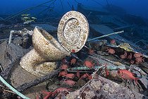 Biosphoto | 2583348 | Soldierfish (Myripristis sp). Wreck, sunken ship. From the EMPEROR FRAISER company, this wreck stands out for its peculiar cargo of health advice. Sinai Peninsula. Red Sea, Egypt. | &copy; Sergio Hanquet / Biosphoto