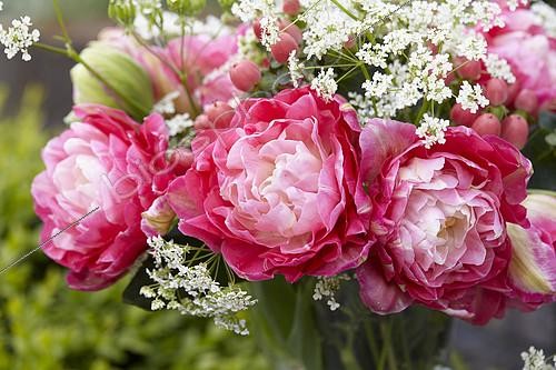Biosphoto | 2165429 | Spring bouquet | &copy; Visions Pictures / Biosphoto