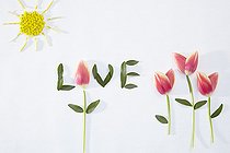 Biosphoto | 2164814 | Spring collage | &copy; Visions Pictures / Biosphoto