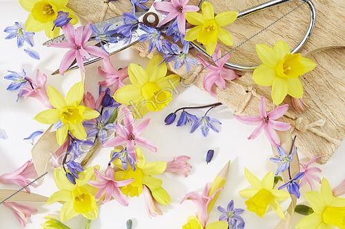 Biosphoto | 2567463 | Spring collage with Narcissus, Hyacinthus, Scilla | &copy; ~VisionsPictures collages / Visions Pictures / Biosphoto