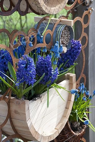 Biosphoto | 2499687 | Spring container | &copy; Visions Pictures / Biosphoto