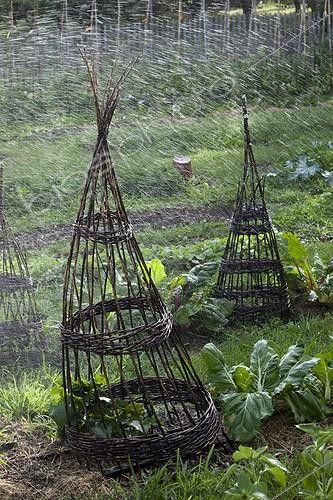 Biosphoto | 1367724 | Sprinkling water in a kitchen garden | &copy; Philippe Giraud / Biosphoto