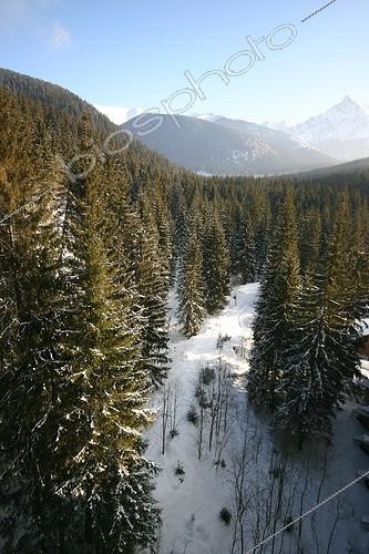 Biosphoto | 581535 | Spruce forests covered with snow Hautes Tatras Slovakia | &copy; André Pascal / Biosphoto