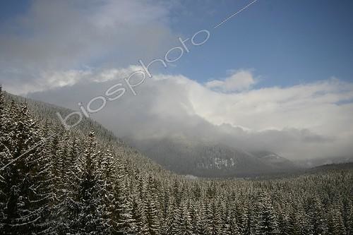 Biosphoto | 581545 | Spruce forests covered with snow in High Tatras Slovakia | &copy; André Pascal / Biosphoto