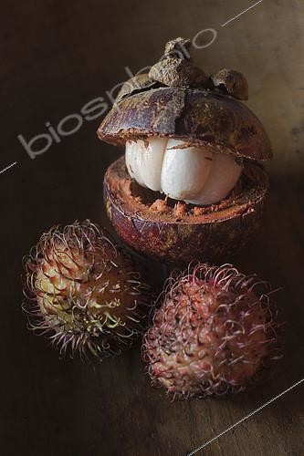 Biosphoto | 2099642 | Still life of a Rambutan (Nephelium lappaceum) and a Purple mangosteen (Garcinia mangostana) | &copy; Thierry Le Quay / Biosphoto