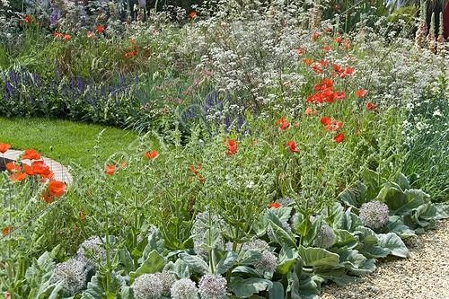 Biosphoto | 1081532 | Summer border | &copy; Elburg Botanic Media / Visions Pictures / Biosphoto