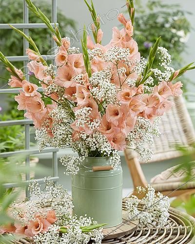 Biosphoto | 2463871 | Summer bouquet | &copy; Visions Pictures / Biosphoto