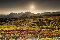 Biosphoto | 2489575 | Sunset over the vineyards and the Dentelles de Montmirail, Vaucluse, Provence, France | &copy; Alain Roux / Biosphoto