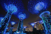 Biosphoto | 2450123 | Supertrees at night, bridge or skyway between the trees, Marina Bay Sands Hotel in the background, Supertree Grove, Gardens by the Bay, Singapore, Asia | &copy; Robert Haasmann / imageBROKER / Biosphoto