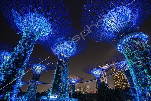 Biosphoto | 2450123 | Supertrees at night, bridge or skyway between the trees, Marina Bay Sands Hotel in the background, Supertree Grove, Gardens by the Bay, Singapore, Asia | &copy; Robert Haasmann / imageBROKER / Biosphoto