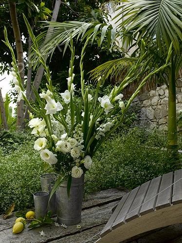 Biosphoto | 647474 | Sword grass and Texas bluebell bouquet on a garden terrace | &copy; Gilles Le Scanff & Joëlle-Caroline Mayer / Biosphoto