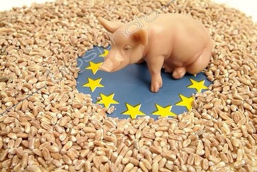 Biosphoto | 1464531 | Symbolic agriculture in European Union | &copy; Michaela Begsteiger / imageBROKER / Biosphoto