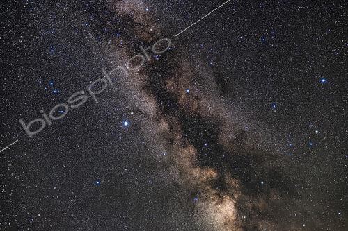 Biosphoto | 2481402 | The constellation of Aquila (at centre) surrounded by Scutum and its starcloud (below) and Serpens and Ophiuchus (at right to the west). Altair is the bright star left of centre, with Tarazed above it. Albireo in Cygnus is at the very top. . Above Aquila and below Albireo are the small constellations of Sagitta, Vulpecula and Delphinus (the latter at left). The Coathanger asterism is visible at top in the Milky Way, as are the large open clusters IC 4756 and NGC 6633, the S-O Double Cluster, at right straddling the Serpens-Ophiuchus border. 
 | &copy; Alan Dyer / Stocktrek Images / Biosphoto