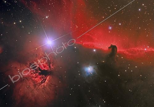 Biosphoto | 2484081 | The Horsehead Nebula in the constellation Orion. | &copy; Reinhold Wittich / Stocktrek Images / Biosphoto