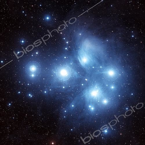 Biosphoto | 2484183 | The Pleiades Star Cluster (M45) is located in the constellation of Taurus. | &copy; Charles Shahar / Stocktrek Images / Biosphoto