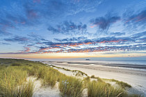Biosphoto | 2628437 | The Sangatte dunes at sunrise, Opal Coast, Pas-de-Calais, France. | &copy; Yann Avril / Biosphoto