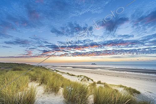 Biosphoto | 2628437 | The Sangatte dunes at sunrise, Opal Coast, Pas-de-Calais, France. | &copy; Yann Avril / Biosphoto