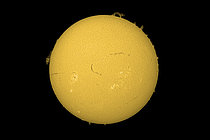 Biosphoto | 2619246 | The Sun photographed in H-Alpha on March 15, 2026. The chromosphere and prominences are clearly visible as solar activity is significant. Seine-et-Marne, France. | &copy; Christophe  Lehénaff / Biosphoto