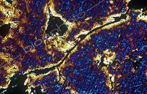 Biosphoto | 157108 | Thin blade  of Basalt in microscopy with polarized light ; We can see the microlithic structure of the basaltic rock. | &copy; Jean-Claude Louchet / Biosphoto