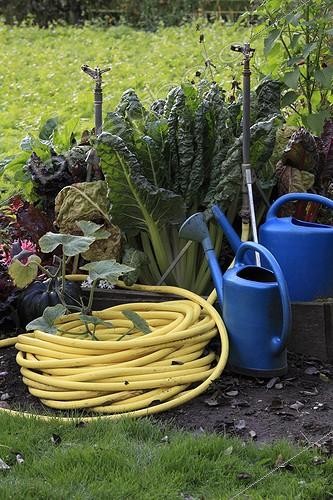 Biosphoto | 987465 | To water a garden in autumn France | &copy; Gilles Le Scanff & Joëlle-Caroline Mayer / Biosphoto