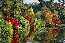 Biosphoto | 1778723 | Trees | &copy; Iris Pitcher / Flowerphotos / Biosphoto