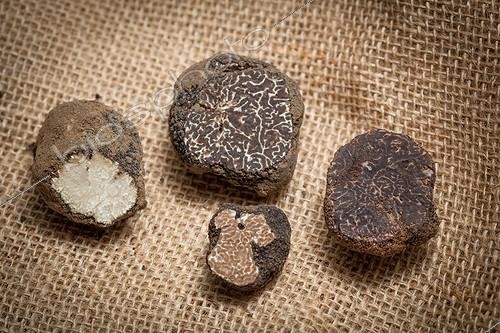 Biosphoto | 1899619 | Truffles Canvas Richerenches Truffles Market in Provence | &copy; Jean-Baptiste Strobel / Biosphoto