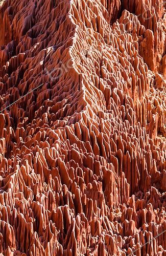 Biosphoto | 2511686 | Tsingy rouge, paysage typique, Tsingy de Bemaraha, Madagascar. | &copy; Andrey Gudkov / Biosphoto