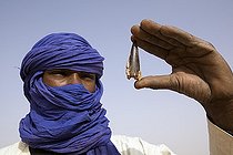 Biosphoto | 182422 | Tuareg observing the fossil tooth of a Sarcosuchus Niger | &copy; Michel Gunther / Biosphoto