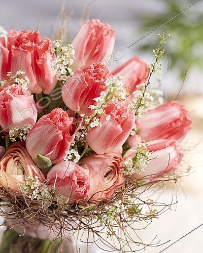 Biosphoto | 2463838 | Tulip bouquet, Tulipa Lingerie | &copy; Florapodium / Visions Pictures / Biosphoto