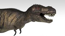 Biosphoto | 2477269 | Tyrannosaurus Rex, white background. | &copy; Kostyantyn Ivanyshen / Stocktrek Images / Biosphoto