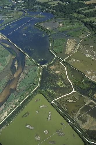Biosphoto | 24374 | Vasière à marée basse Domaine de Certes ; Marais côtiers et prés salés en bordure du Bassin d'Arcachon, aménagés en marais salants au XVIIIe siècle, puis ruinés et abandonnés. <br>1843 : renaissance du Domaine de Certes, grâce à la substitution de la saliculture par la pisciculture.  | &copy; Georges Lopez / Biosphoto