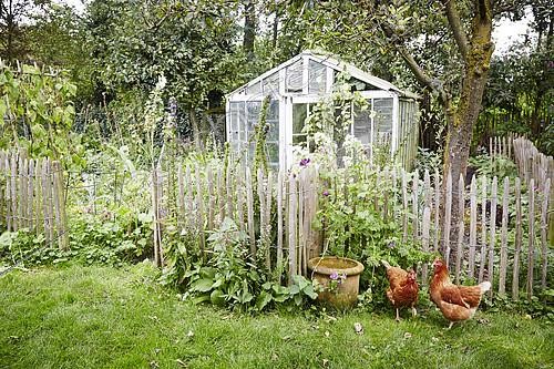 Biosphoto | 2392303 | Vegetable garden | &copy; Visions Pictures / Biosphoto