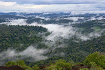 Biosphoto | 2583275 | View from the Inselberg in the Nouragues nature reserve. View of the entire forest and canopy from the top of the inselberg. Inselbergs, also known as 